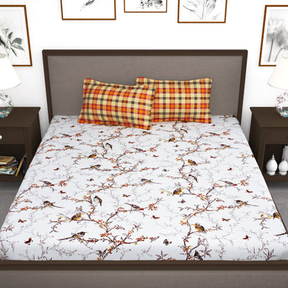 Myra 186 TC 100% Cotton White King Size Bedsheet