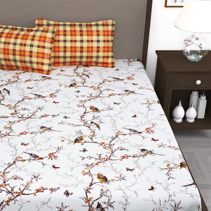 Myra 186 TC 100% Cotton White King Size Bedsheet